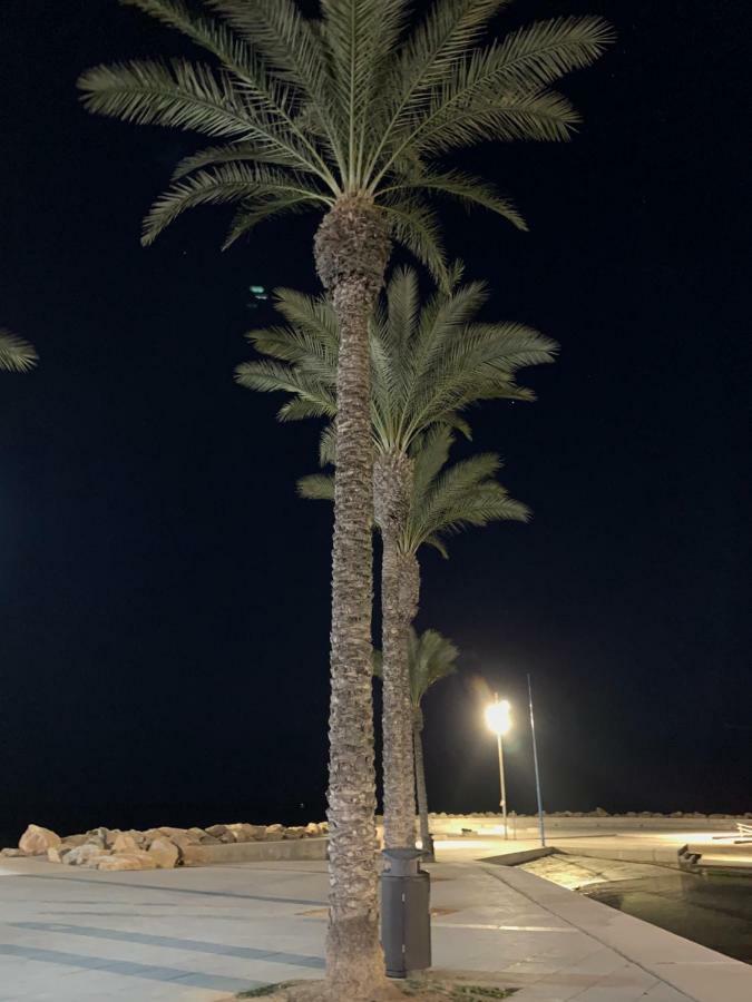 Sunshine Apartment Torrevieja Exterior foto